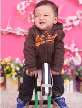 Hổ bập bênh Hổ mặt ngang